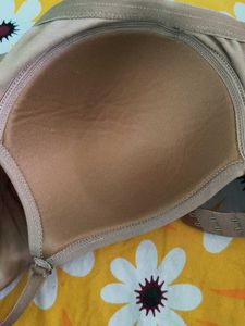 Padded  Bra