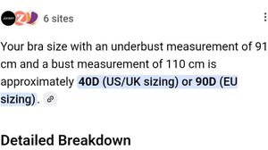 🍂Elegant White Lace Leaf Embroidered Bra🍂