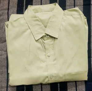 Men's Light Green Button-Down Shirt