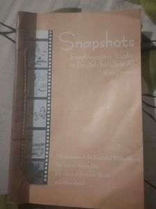 class 11 english books snapshot+hornbill