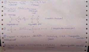 Class 10 Science Complete Study Material