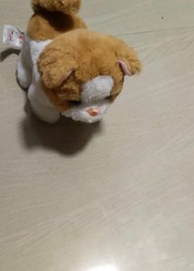 Baby Toy 😺