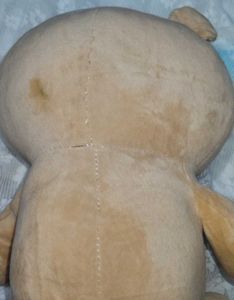 Cute Teddy Bear Plush