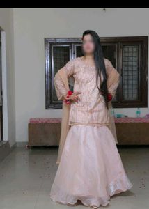 Elegant Fish Cut Lehenga Choli