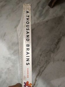 A Thousand Brains By Jeff Hawkins