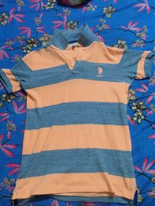 polo t shirt