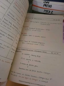 marrow notes