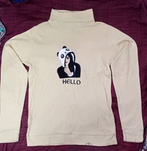 T-shirt  Regular Used