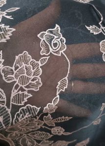 Floral Tissue Saree