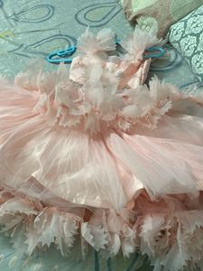 Blush Floral Applique Party Dress