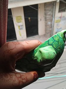 Clay Turtle