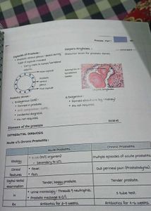 Marrow Notes 8ed