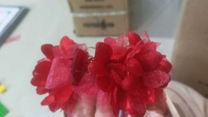 Hair Accessories