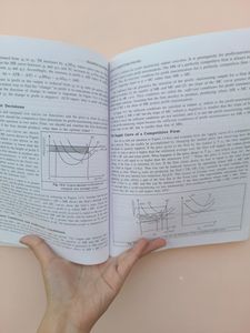 Business Economics by P.N Chopra