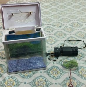 Used Aquarium with filter, stones,