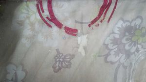 Silk and Tissue, Maroon, Beige Curtains