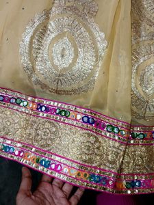 Lehanga Choli With Blouse