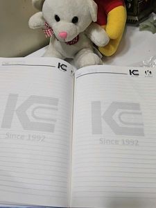 2026 Diary , quantity 2