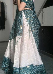 Beautiful Gaghra Choli
