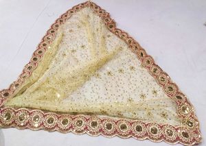 Lehenga Model Saree New 🛍️👌💃