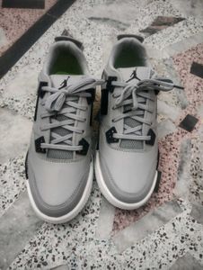 Air Jordan 4 Silhouette