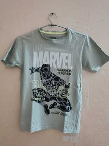 Daily Wear Tshirts