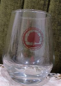 OAKEN GLOW GLASSES FOR AM TO PM
