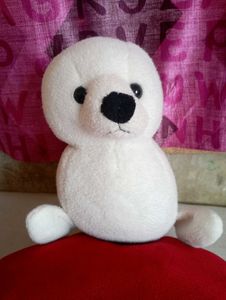 White Soft Pigeon Good Quality