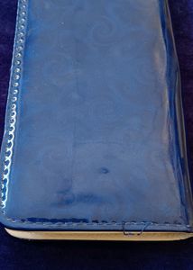 Clutches (Purse)