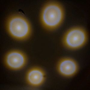Crystal Global Lamp