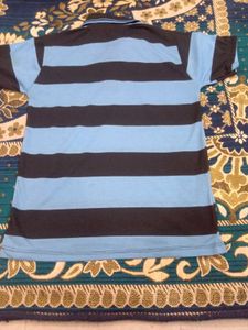 Striped Polo Shirt