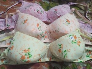 Pack Of 3 Padded Bra