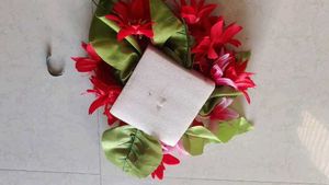 Diwar Flower 🌹