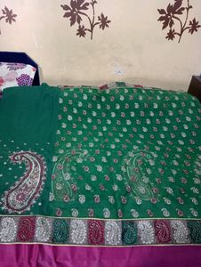beautiful net saree with blouse