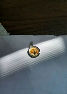 Real Rose Bud Pendant  Only