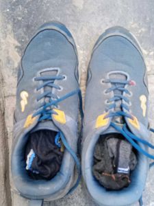 Used Blue Campus Sport Shoes