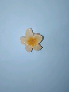 Floral Hair Clip || can be in any colour!🌸🌼🌺