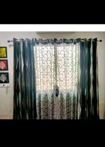 Window Curtain