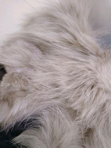Fur Coat For Women
