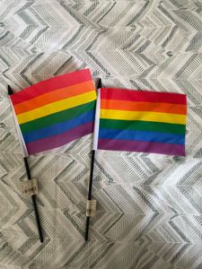 Set Of 2 Rainbow Flags