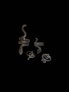 Snake rings