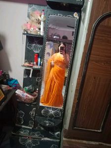 Elegant Ethnic Gown