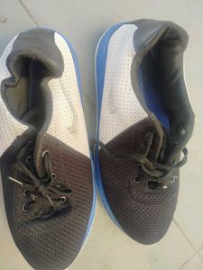 shoe