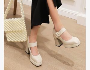 Chunky Platform Mary Janes
