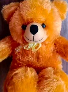 Teddy (Combo)