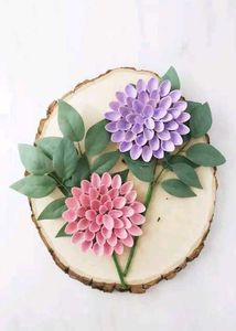 Pistachio Shells For School Projects