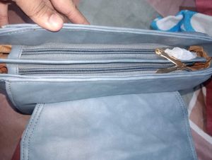 Light Peacock Colour Sling Bag