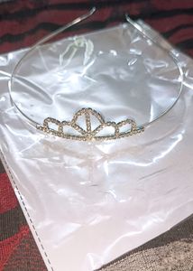 Beautiful Silver Crown