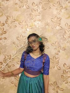 Blue Readymade Saree Blouse