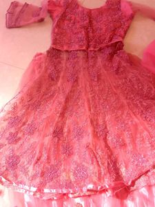 Pink Embroidered Indian Dress.